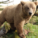 Photo: Zoo Hluboka/Wikimedia